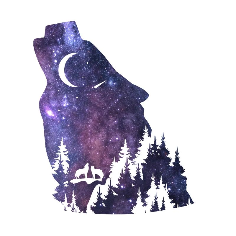 Wolf silhouette Galaxy