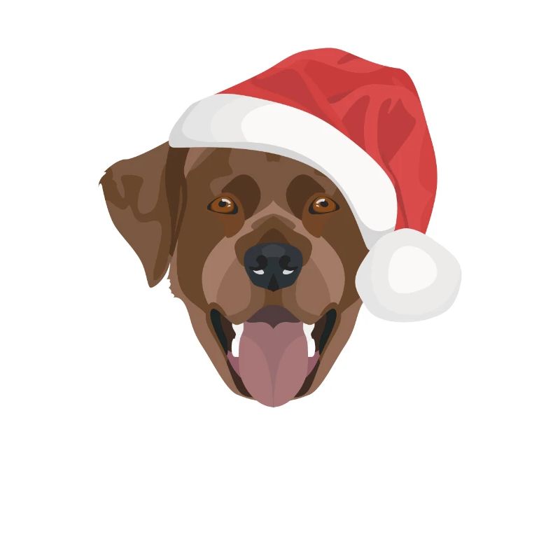 Labrador Christmas