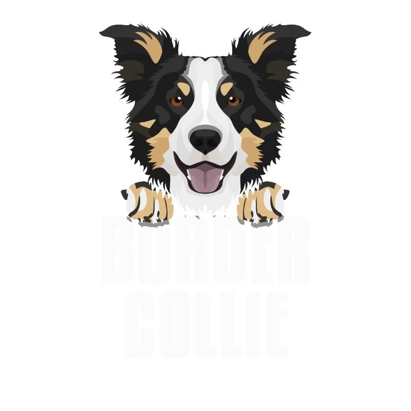 Smiling Border Collie