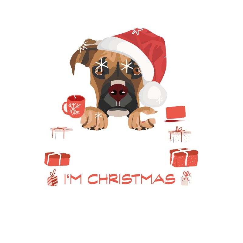 Marché de Noël Boxer