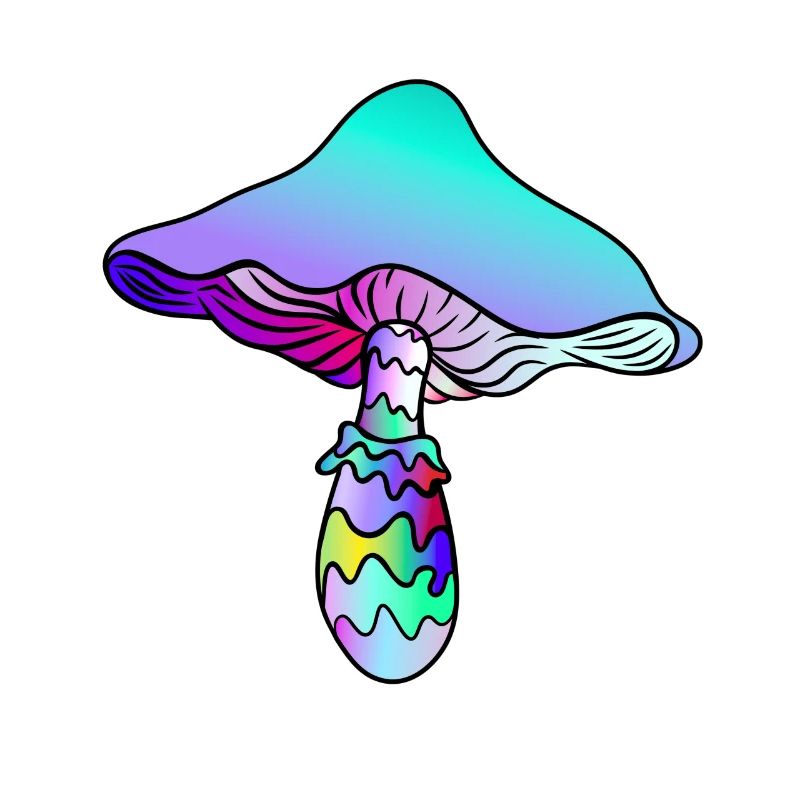 Champignon Psychédélique - Champignon Arc-en-ciel