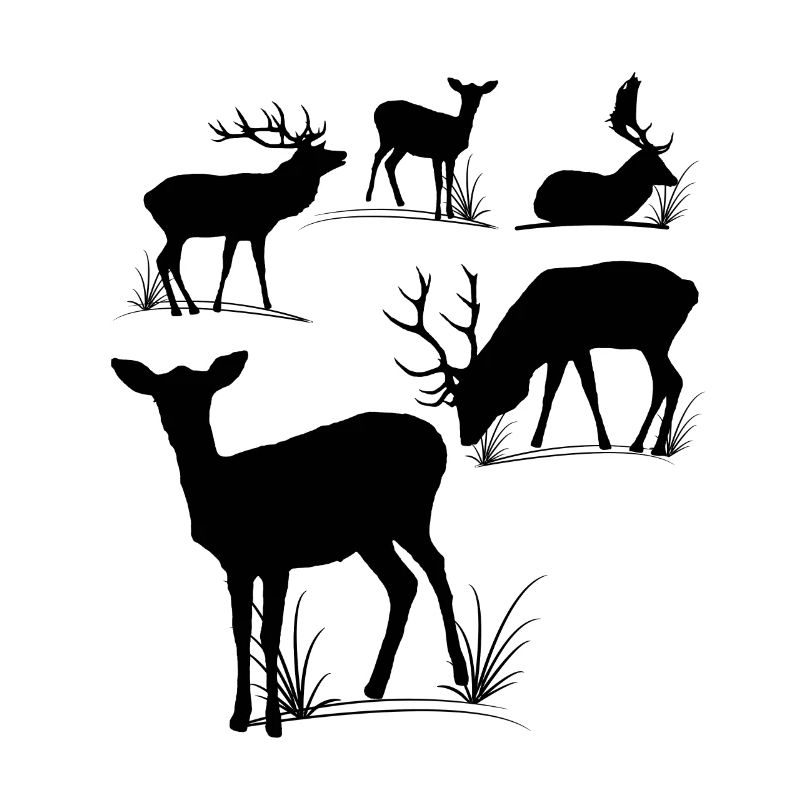 Deer, roe deer, fallow deer, fallow deer, roebuck