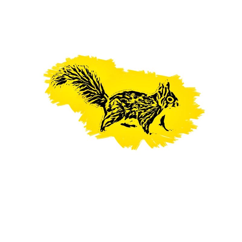 Écureuil