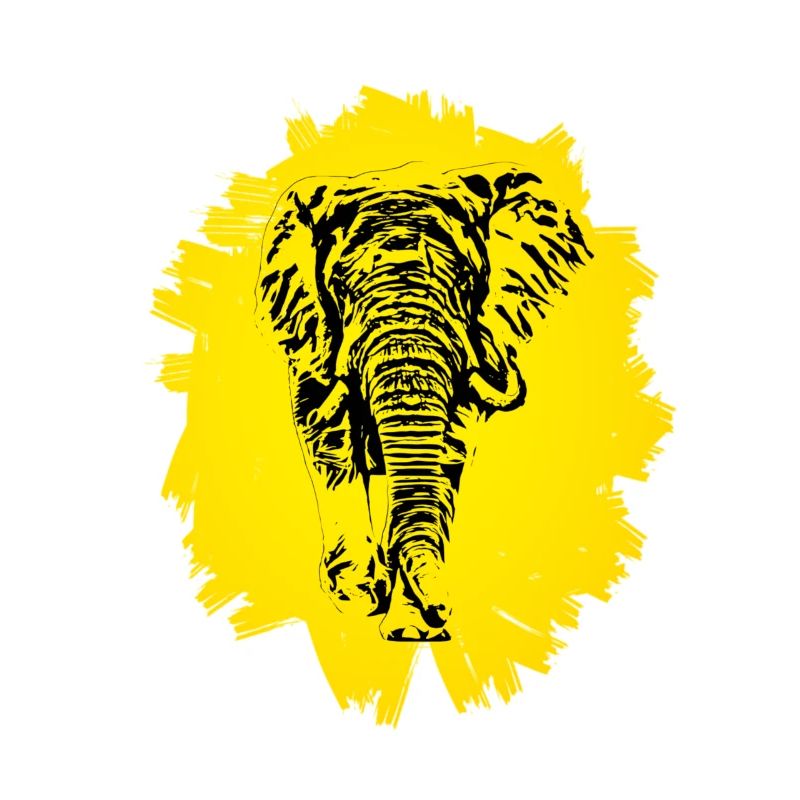 Éléphant