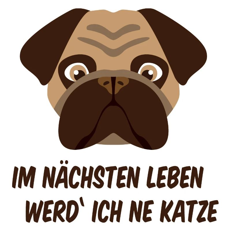 Frustrated pug