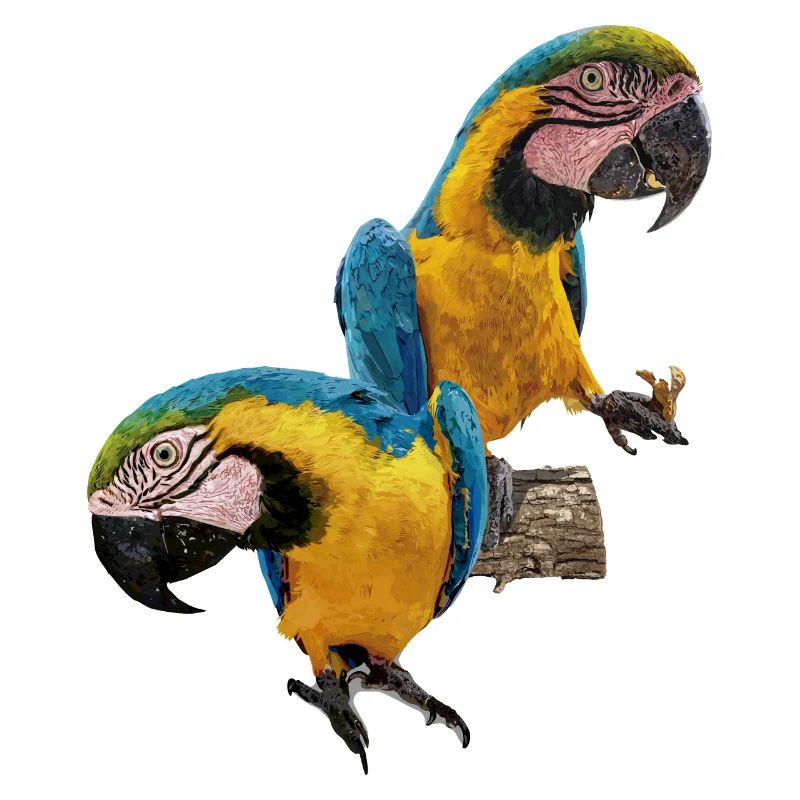 L’ara bleu et jaune