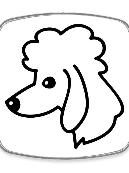 Poodel Portrait