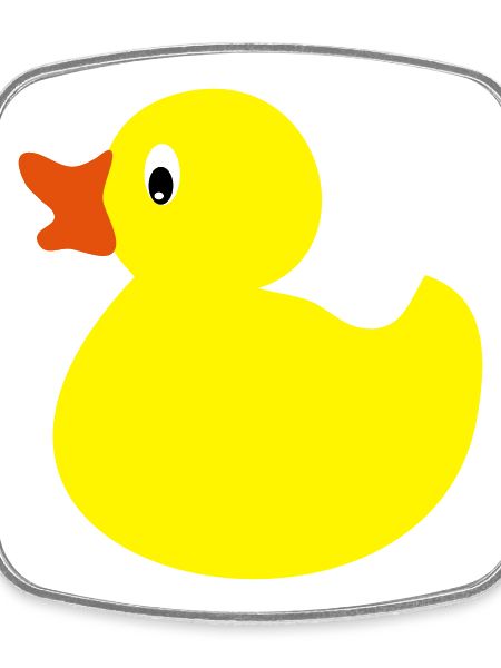 canard