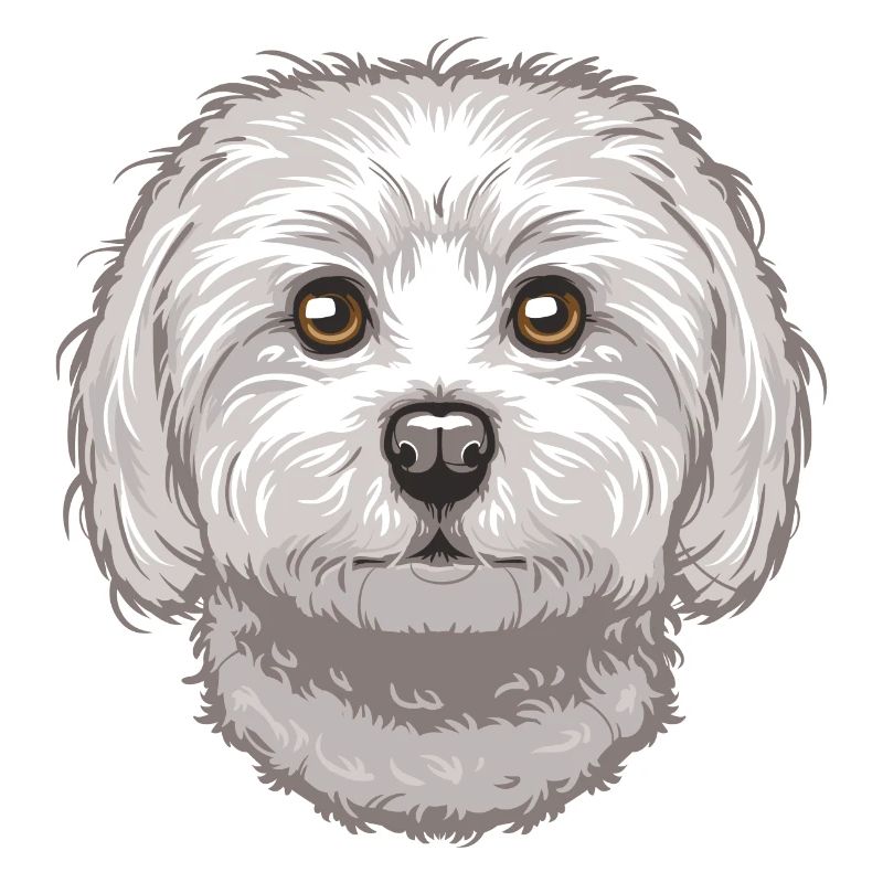 Maltese