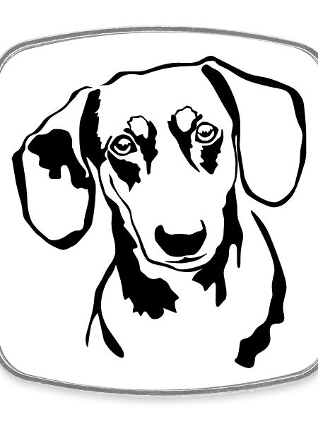 Dachshund head