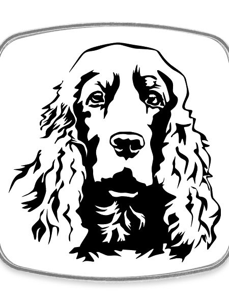 Cocker Spaniel head