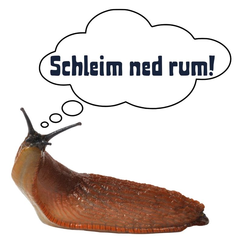 Schleim ned rum ! ART