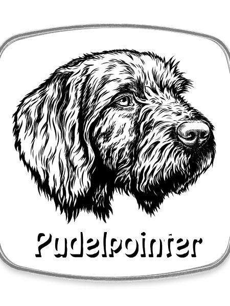 Pudelpointer Portrait