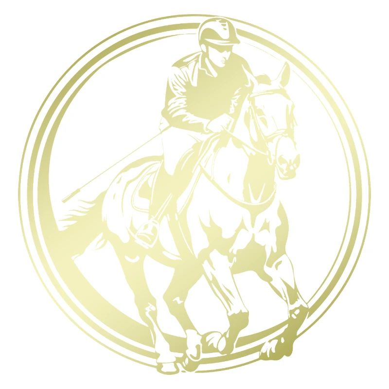 Silhouette de cheval d’équitation