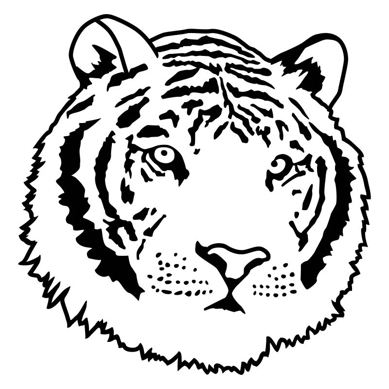 Strong Tiger in the Jungle – Wildcat Design