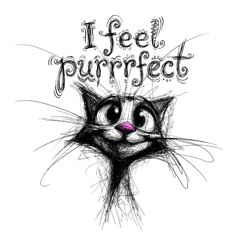 Je me sens parfaite – chat mignon