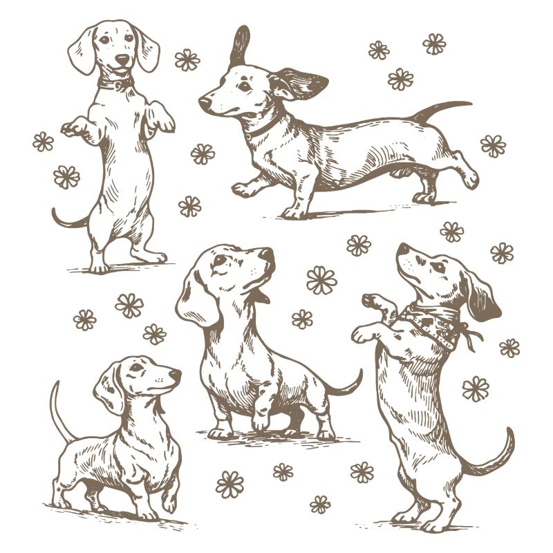 Teckel Teckel Chiens Teckels Teckel Chien teckel Teckel