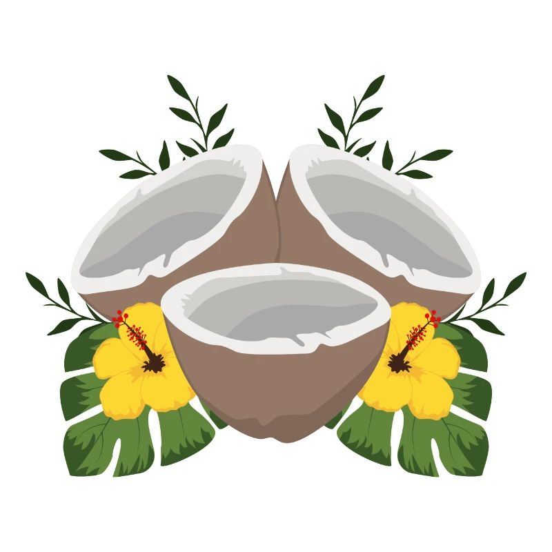 Noix de coco d'été