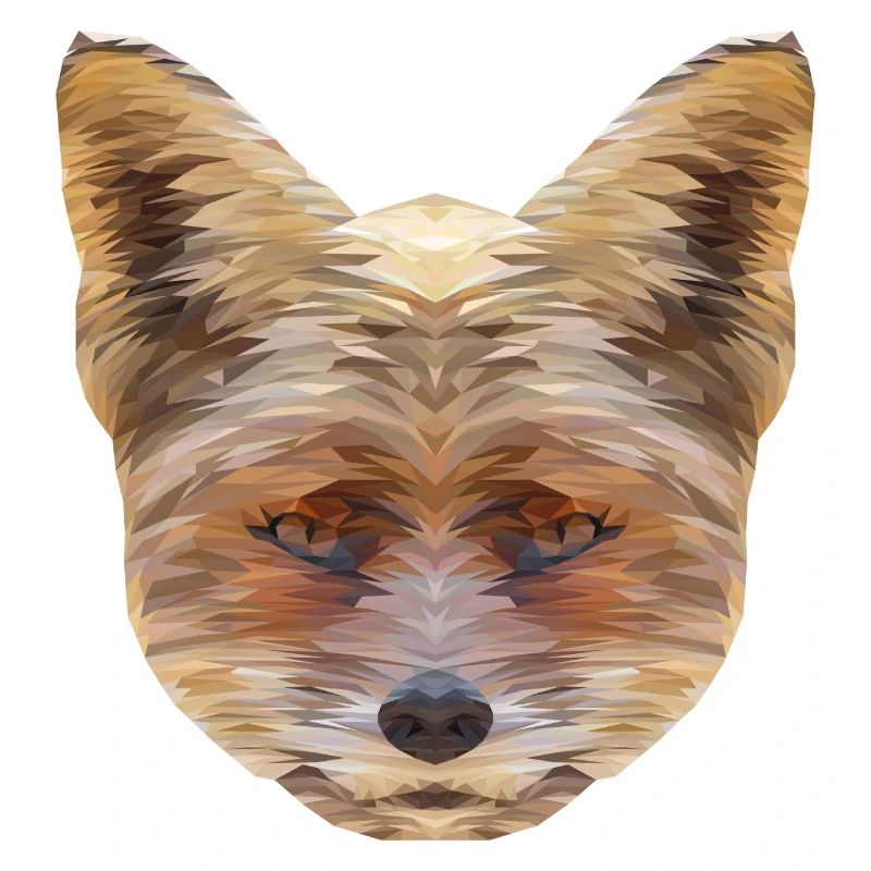 Fox Polygon