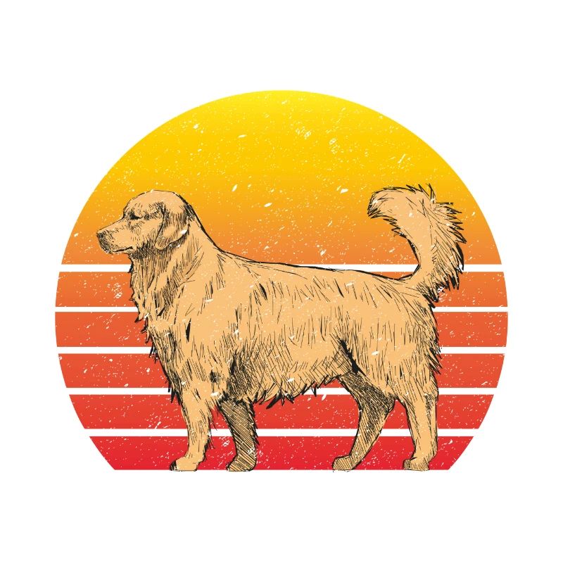 Golden Retriever Rétro Coucher de soleil
