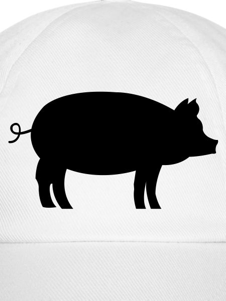 Schwein Pig