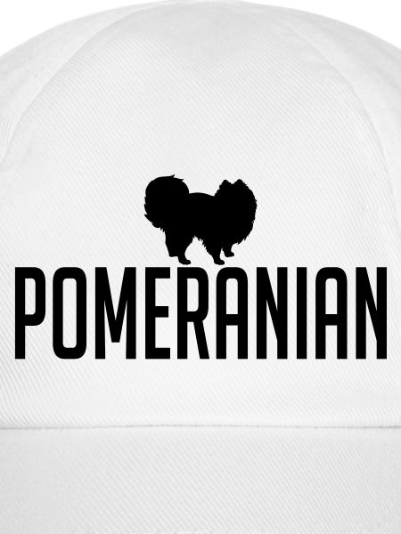 POMERANIAN Hunderasse