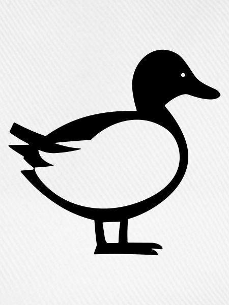 Ente
