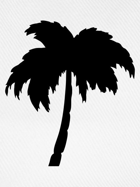 Palme