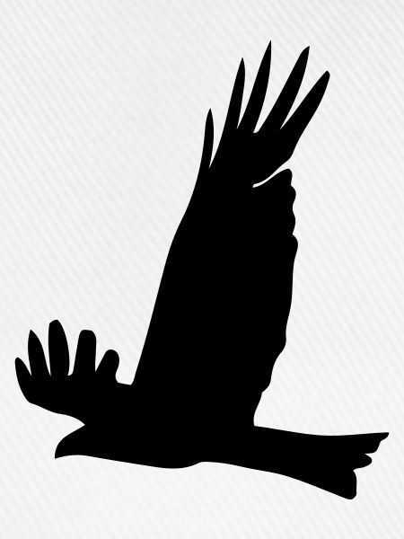 Adler