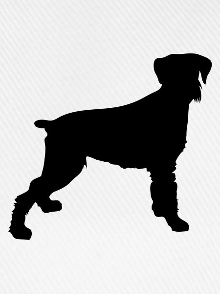 süsser hund