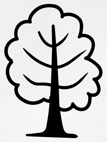 Baum