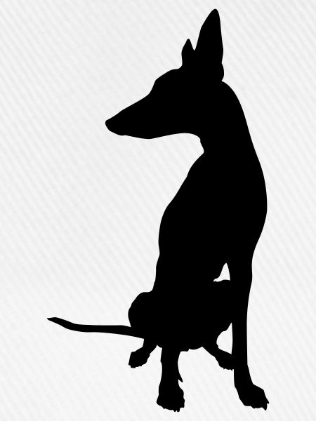 podenco boss