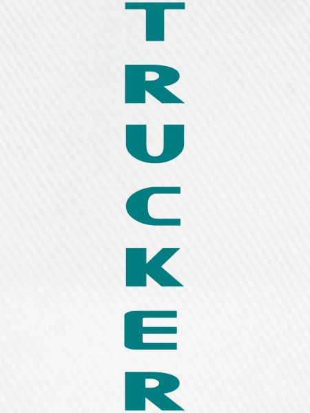 Ärmel IVECO Trucker