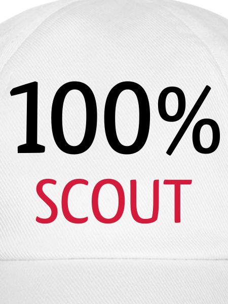100% Scout