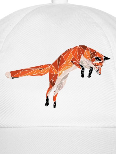 Geometrischer Fuchs