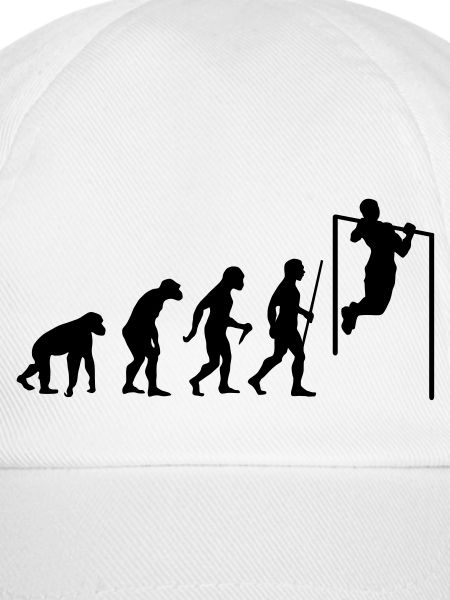 Evolution Pull Up