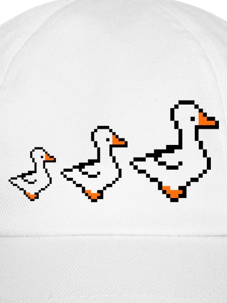 pixel enten