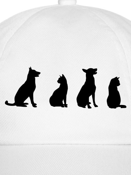Katzen und Hunde