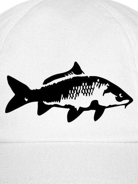 carp fish