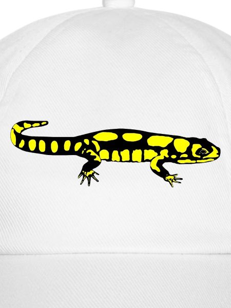 Salamander