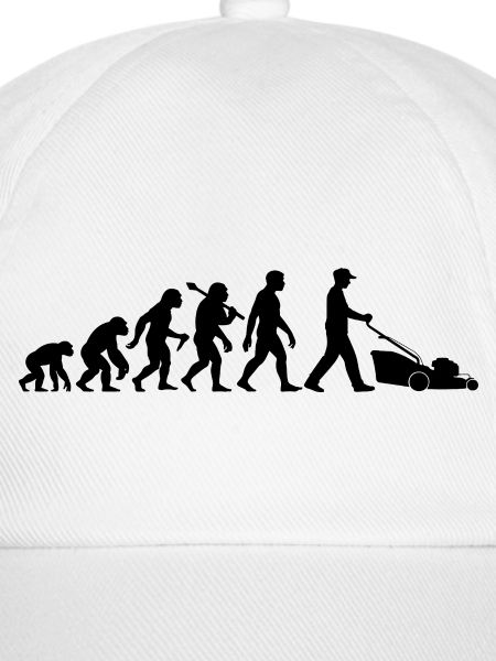 Rasenmäher Evolution Gärtner Rasen Mähen