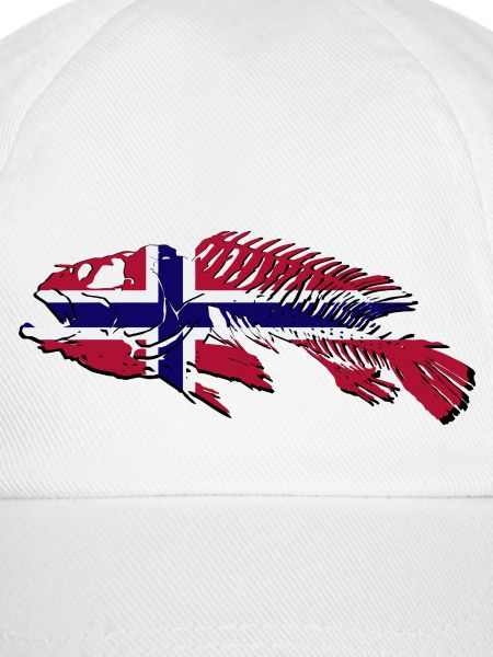 Norway Fishing