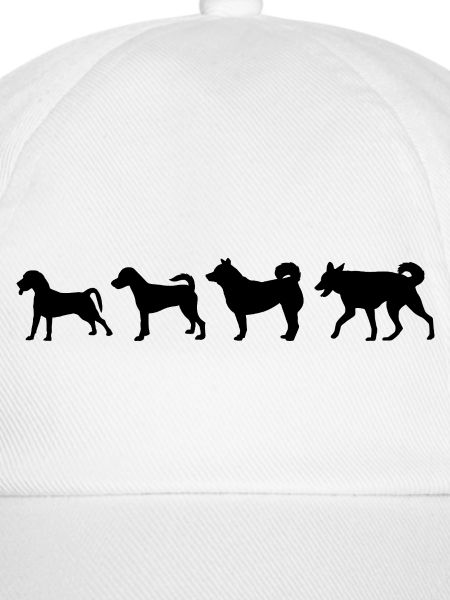 Entwicklung des Hundes
