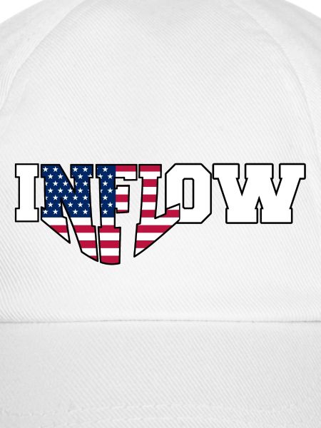 INFLOW | Election 2024