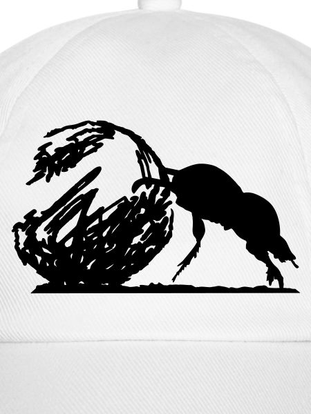 Dung Beetle