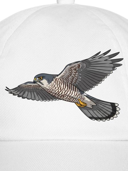 Sperber Greifvogel