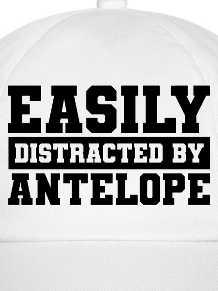 Antilope Spruch Humor 