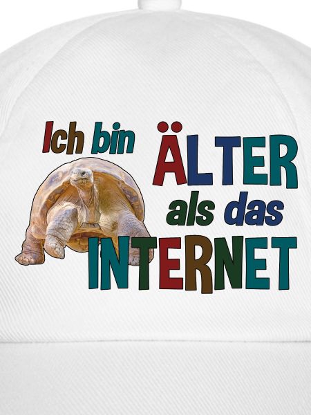 Älter als das Internet - Schildkröte