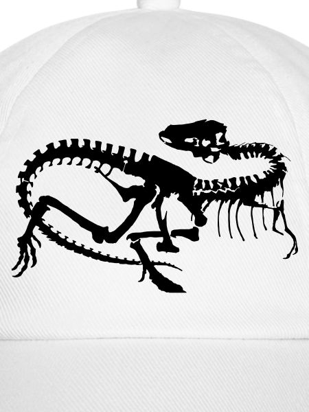 Dinosaurier Skelett Silhouette (1c)