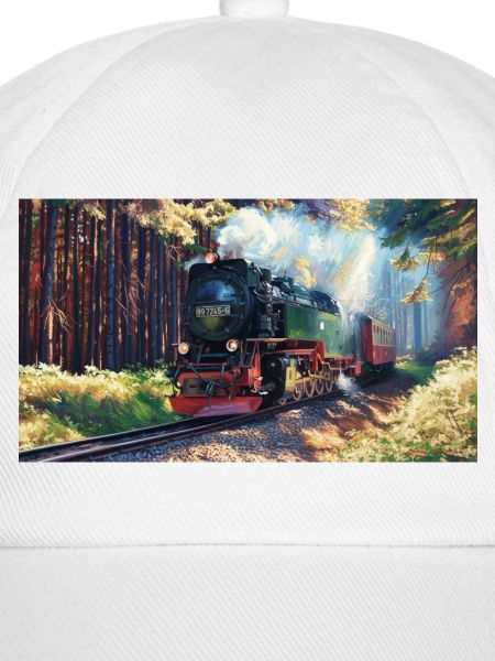 Brocken Wald Dampf
